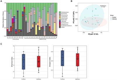 Dissecting and tracing the gut microbiota of infants with botulism: a cross sectional and longitudinal study